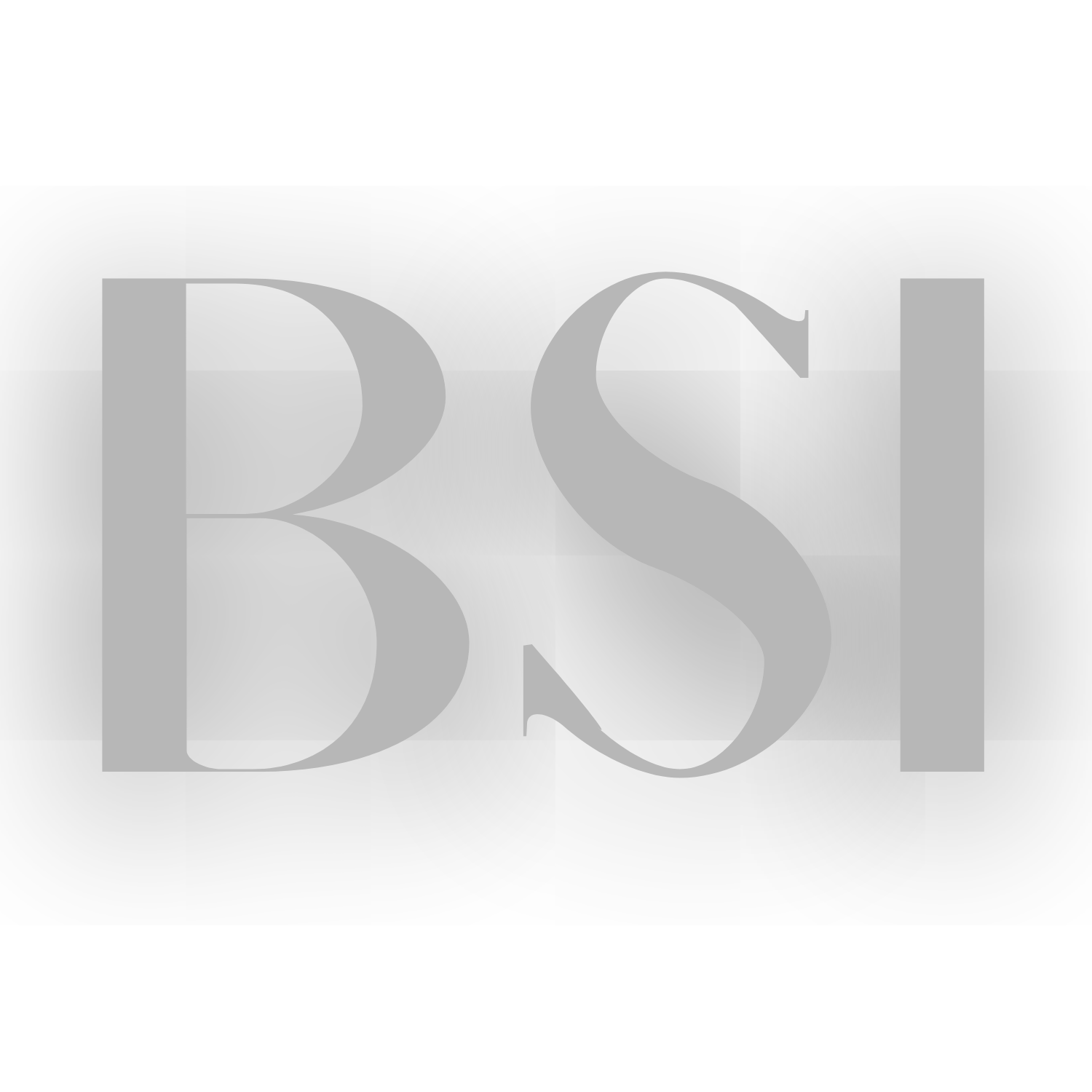 BSI BRAGANCE SOLUTION INFORMATIQUE